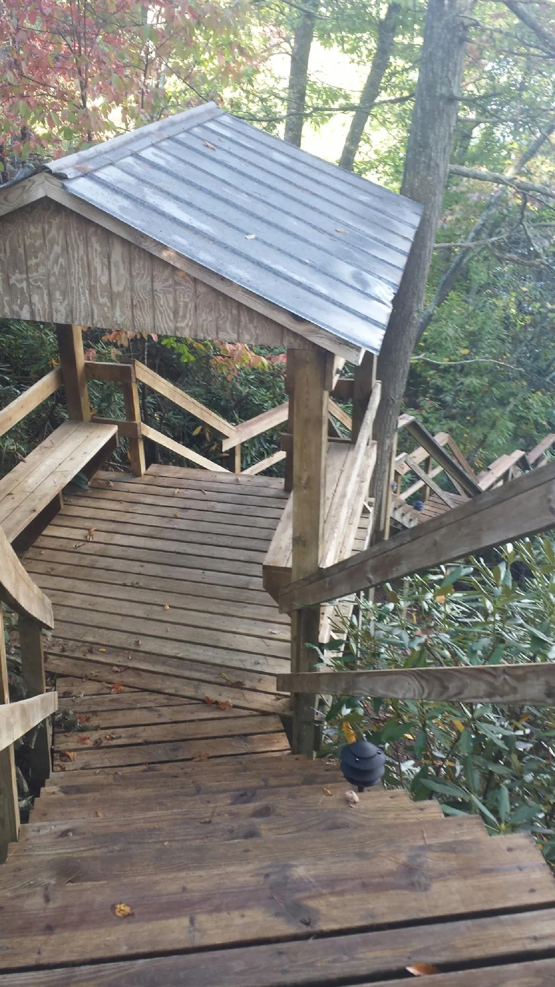 Metal roofed shelter over wooden steps on a wooded walkway — Skylight Repair & Installation work by our crew in Fox Island