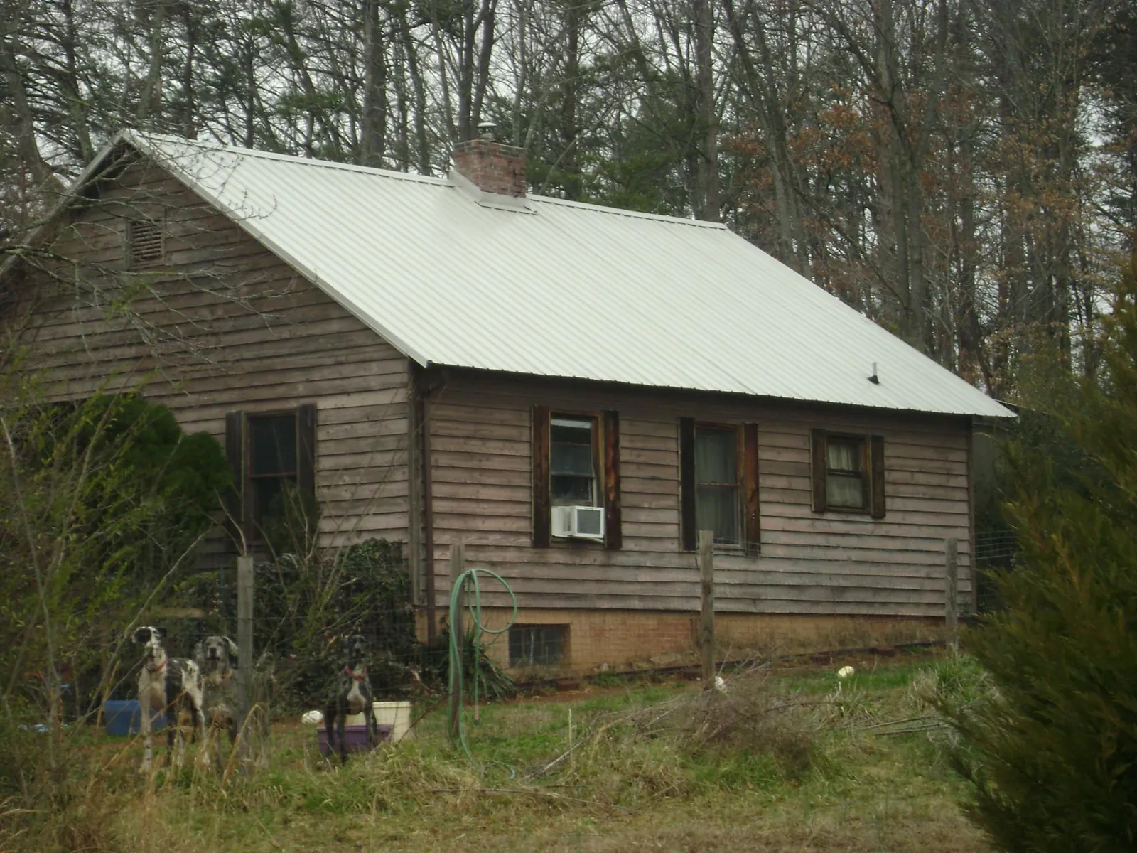 White metal roof on an old wood sided farmhouse, from a Metal Roof Installation job in Fox Island